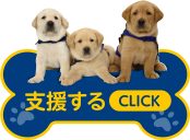 支援する　CLICK