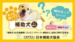 「ほじょ犬」って何?