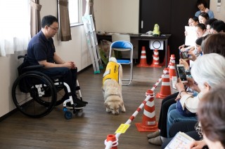 介助犬が、落とした物を拾っています。