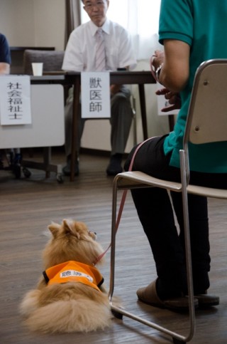 質疑応答中も静かに待っていました。