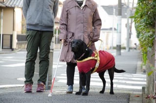 歩く前に内容を確認。