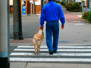 信号が青になり同じ進行方向に発進する車の音を確認して、わたり始めます。