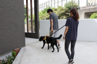 障がい者の方々に対する補助犬体験セミナーの開催。