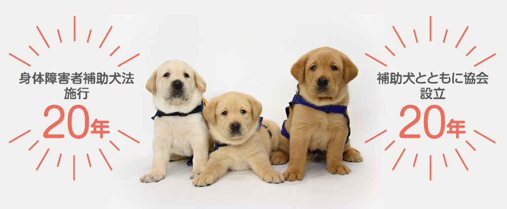 公益財団法人日本補助犬協会 日本で唯一3種類 盲導犬 介助犬 聴導犬 の補助犬を育成および認定できる団体