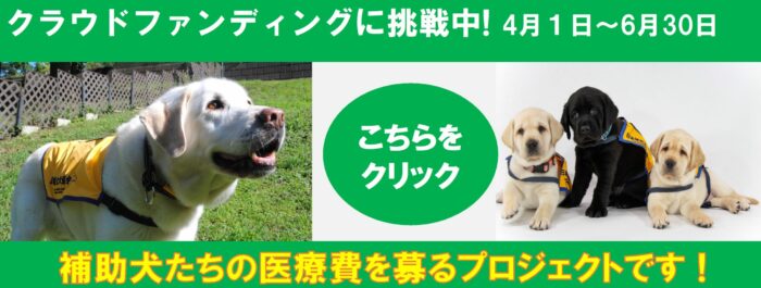 クラウドファンディング2023コングラント4.1-6.30