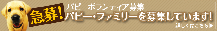 パピーボランティア